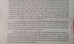 TP.Hồ Chí Minh: Đề nghị thanh tra Chi nhánh Công ty Cổ phần Thương mại và Chuyển phát nhanh Nội Bài – Netco
